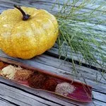 Piles of individual spices that make up homemade pumpkin pie spice rest on a leaf from a corn stalk. In the background is a sparkly yellow pumpkin and a sprig of greene ry. Everything sits on a picnic table.