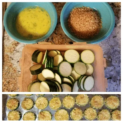 Breaded Zucchini Chips