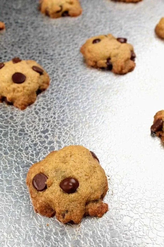 Dairy Free Chocolate Chip Cookies Process Step 5a Dairy free chocolate chip cookies on a textured aluminum baking sheet right out of the oven.